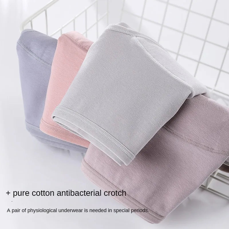 Women's menstrual briefs